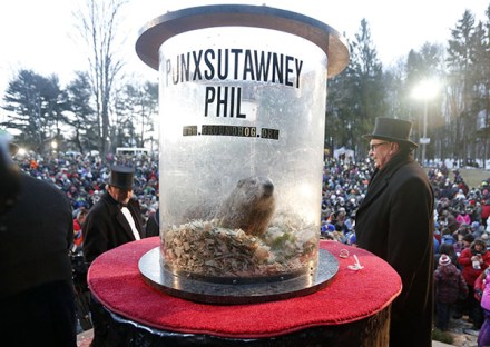 What Is Groundhog Day? Find Out The Date & Facts About The Holiday