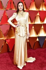 Dakota Johnson89th Annual Academy Awards, Arrivals, Los Angeles, USA - 26 Feb 2017WEARING GUCCI