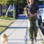 EXCLUSIVE: Gavin Rossdale seen with Chewy at the park as Gwen is set to get married
