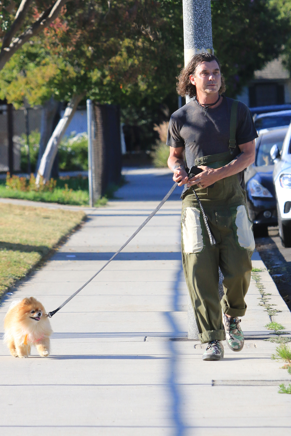 EXCLUSIVE: Gavin Rossdale seen with Chewy at the park as Gwen is set to get married