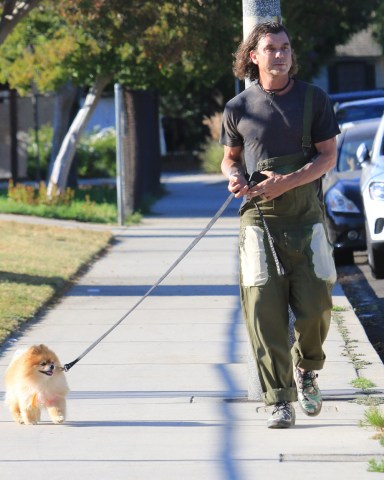 EXCLUSIVE: Gavin Rossdale in over-alls as he walks with Chewy at the park. The Bush rocker starts his holiday weekend right as he strolls in the park as his buddy walks next to him. 02 Jul 2021 Pictured: Gavin Rossdale. Photo credit: MEGA TheMegaAgency.com +1 888 505 6342 (Mega Agency TagID: MEGA767208_020.jpg) [Photo via Mega Agency]
