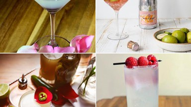Bachelor Cocktail Recipes
