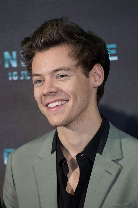 Harry Styles’ Hottest Photos: See Sexiest Pictures Of The Hottie ...