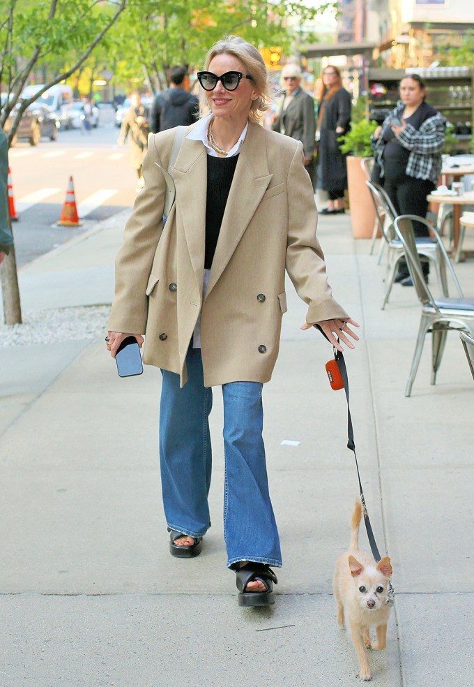 Naomi Watts walking with her dog