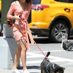Model Emily Ratajkowski walks her dog Colombo in New York City