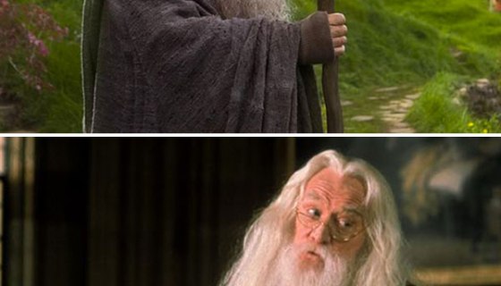 Ian McKellen Dumbledore Diss