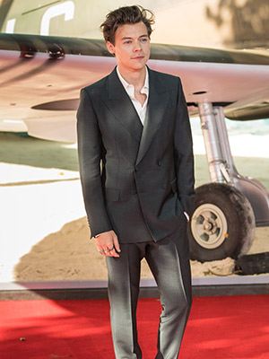 Is Harry Styles Quitting Acting