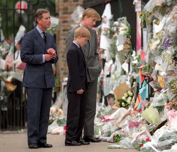 Princes Charles, Harry & William Mourn Princess Diana