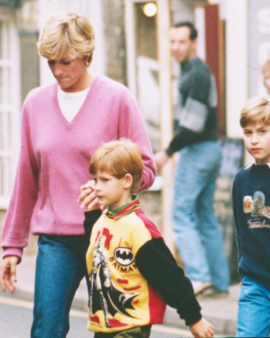 Princess Diana with Prince Harry and Prince William