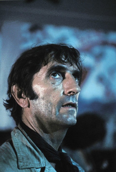 Harry Dean Stanton Photos: Pictures Of Famous Actors Best Roles & Life ...