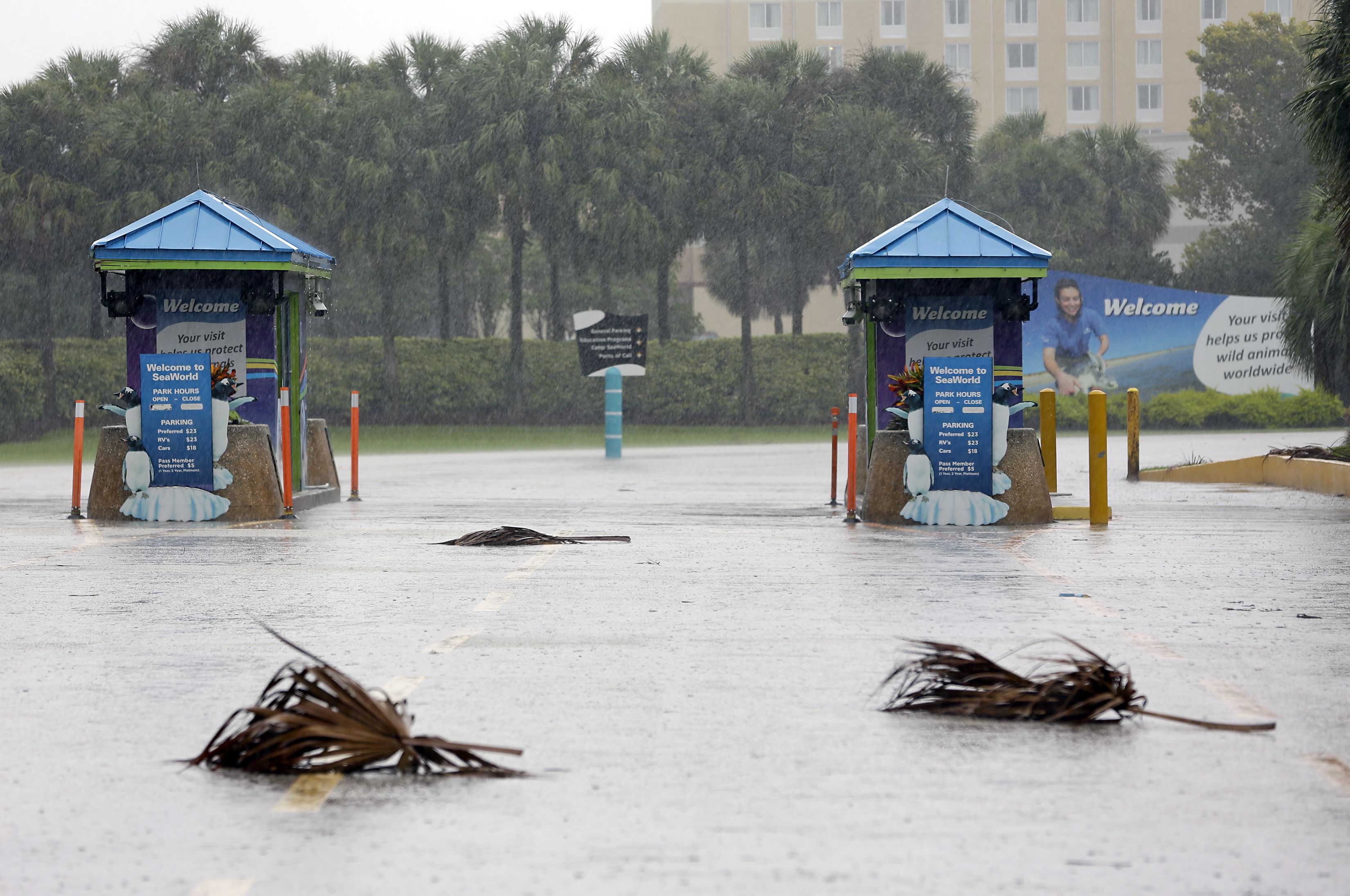 Hurricane Irma Florida, Lake Buena Vista, USA - 10 Sep 2017