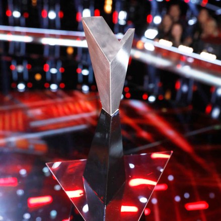 THE VOICE -- "Live Finale Results" Episode 1720B  -- Pictured: The Voice trophy -- (Photo by: Trae Patton/NBC)
