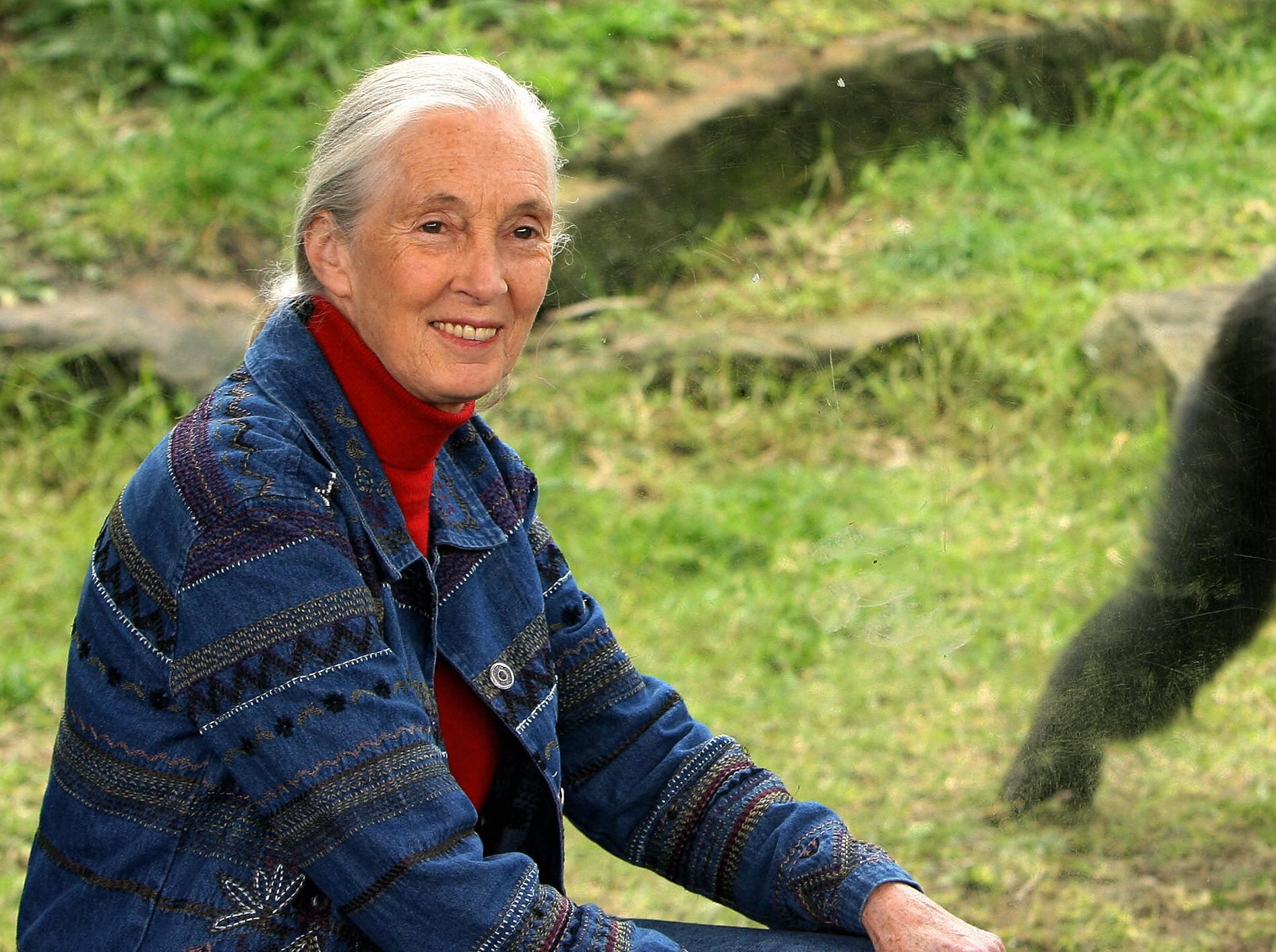 Jane Goodall in Life: Remembering the Late Chimpanzee Researcher in Photos After Her Death