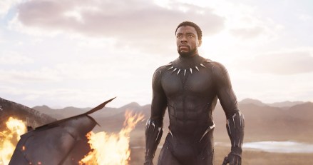BLACK PANTHER, Chadwick Boseman, 2018. © Marvel / © Walt Disney Studios Motion Pictures /Courtesy Everett Collection