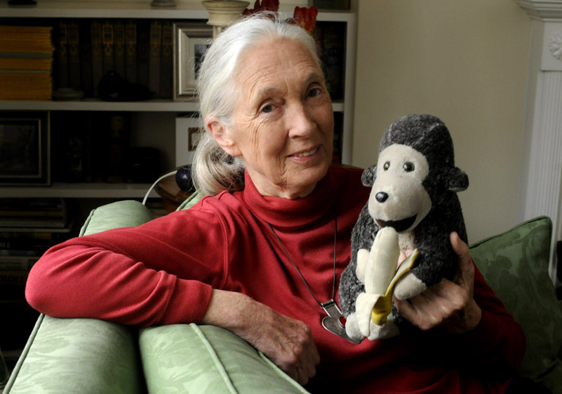 Jane Goodall - PICS - Hollywood Life.