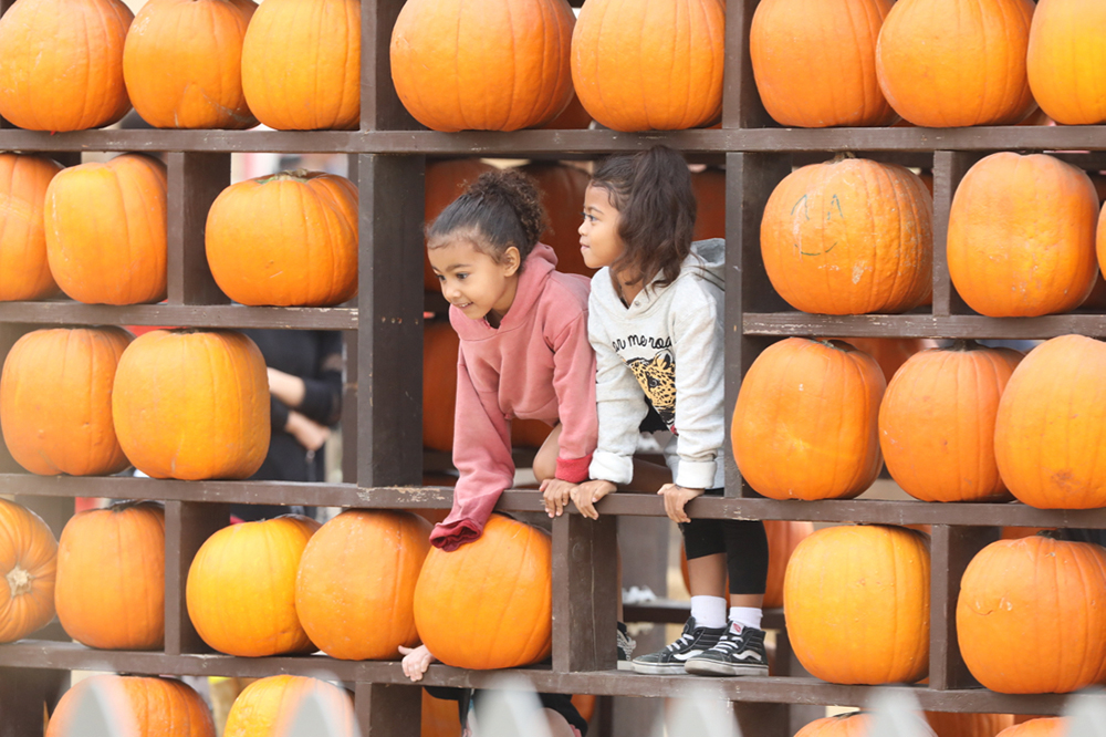 Kourtney Kardashian  and children at a pumpkin patch in Los Angeles