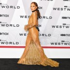 Tessa Thompson Sheer Dress Westworld Premiere SS