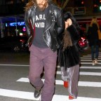 *EXCLUSIVE* Jason Mamoa and wife Lisa Bonet go out for dinner in New York