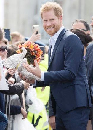 Prince Harry on a walkabout in Viaduct Harbor in Auckland Prince Harry and Meghan Duchess of Sussex tour of New Zealand - 30 Oct 2018