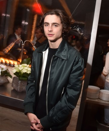 Timothee Chalamet
'Call Me By Your Name' film screening, After Party, New York, USA - 16 Nov 2017