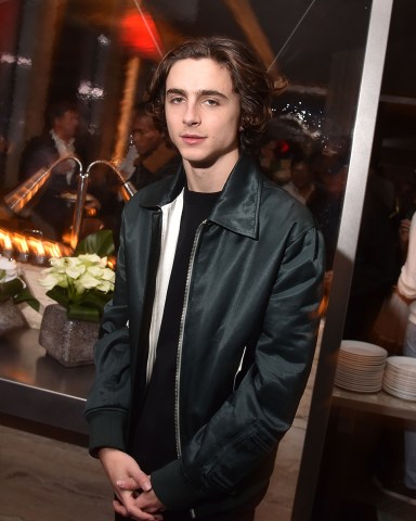 Timothee Chalamet 'Call Me By Your Name' film screening, After Party, New York, USA - 16 Nov 2017