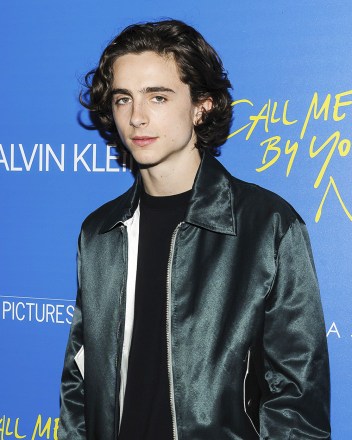 Timothee Chalamet NY Special Screening of "Call Me By Your Name"New York, USA - 16 Nov 2017