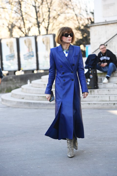 Anna Wintour Pictures: See Photos Of The ‘Vogue’ Editor-In-Chief ...