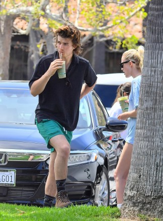 EXCLUSIVE: 'Stranger Thing's actor Joe Keery carries his Australian Shepherd puppy as he steps out for a green juice with his girlfriend, Maika Monroe. The couple were seen stopping by a juice shop in Santa Monica with friends. 27 Apr 2020 Pictured: Joe Keery and Maika Monroe. Photo credit: Snorlax / MEGA TheMegaAgency.com +1 888 505 6342 (Mega Agency TagID: MEGA654151_004.jpg) [Photo via Mega Agency]