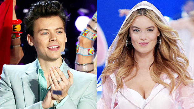 Camille Rowe Harry Styles Dating She Meets His Family Hollywood Life
