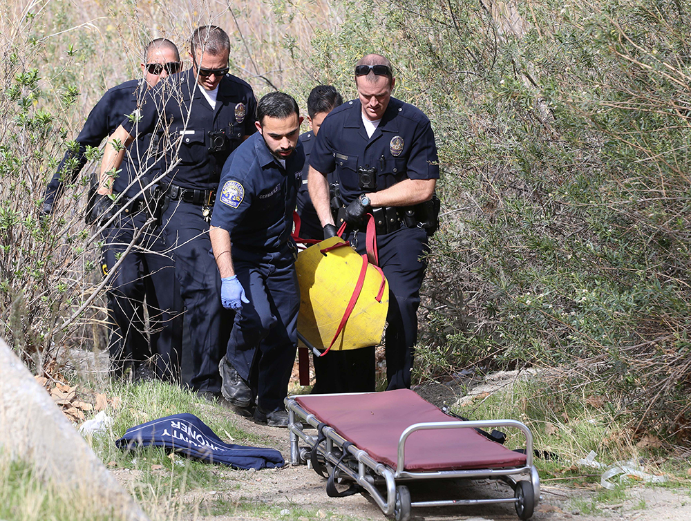 Mark Salling Commits suicide in Forrest by his Home.