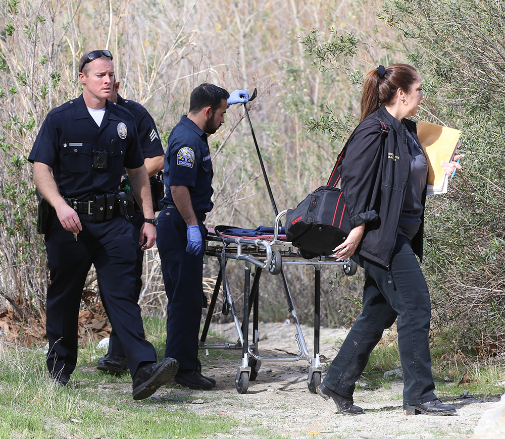 Mark Salling Commits suicide in Forrest by his Home.