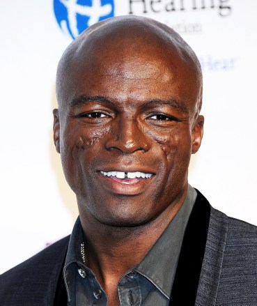 Seal
MusiCares Person Of The Year Tribute, Los Angeles, America - 11 Feb 2011
