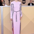 24th Annual Screen Actors Guild Awards, Arrivals, Los Angeles, USA - 21 Jan 2018