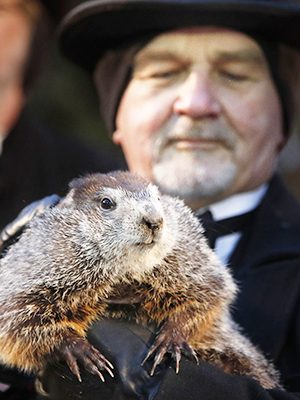 Punxsutawney Phil Pictures — See Photos Of Groundhog Day 2018 ...