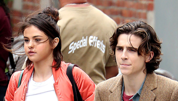 Selena Gomez & Timothee Chalamet Reunite For Drinks — Details ...