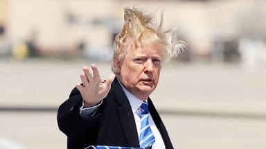 Donald Trump's Hair