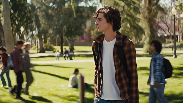 ‘Beautiful Boy’ Trailer: Timothee Chalamet Plays Drug Addict — Video