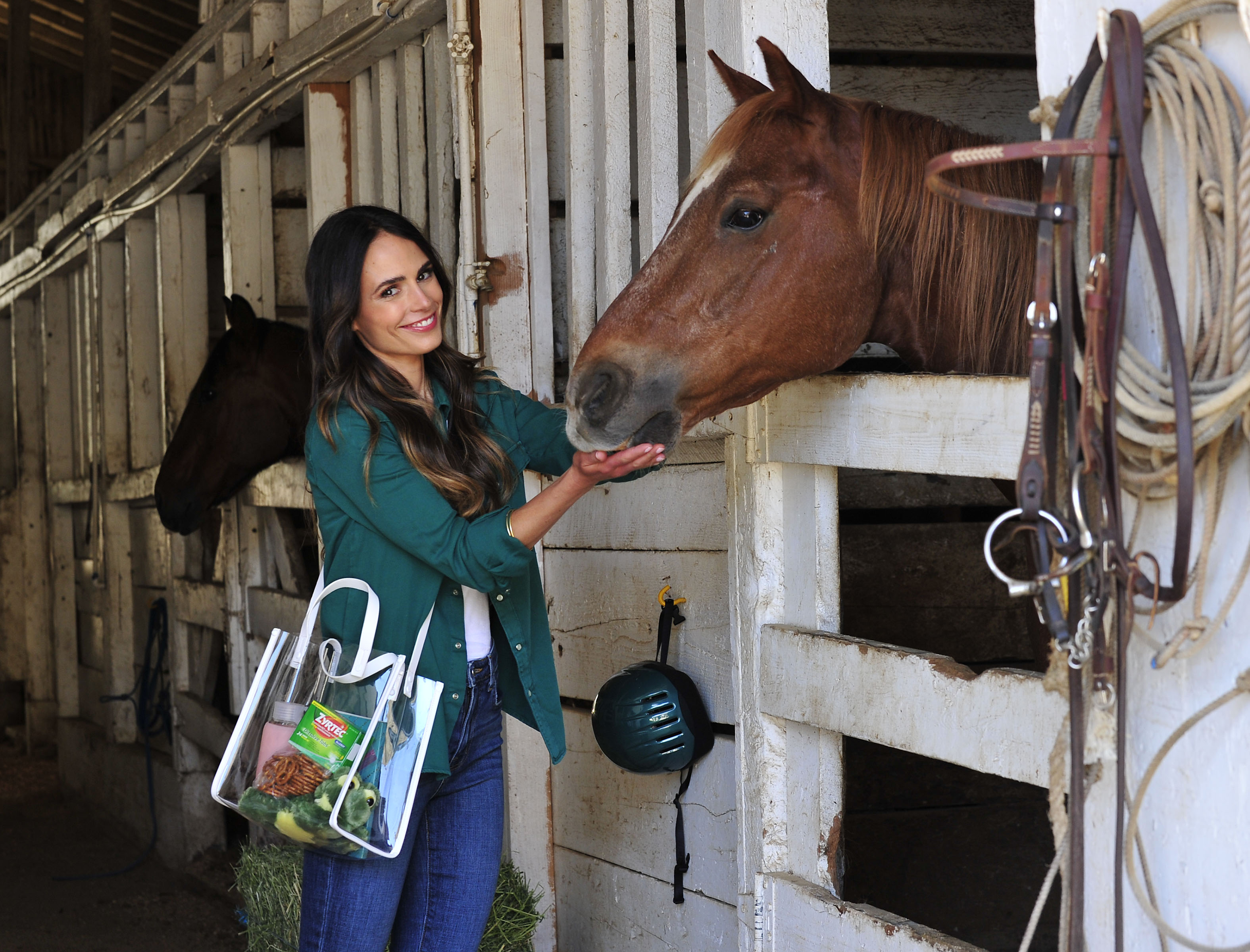 - Los Angeles, CA - 06/05/2018 - Allergies didn`t stop Jordana Brewster from enjoying a day at the horse stable with her family thanks to consistent relief from Zyrtec.-PICTURED: Jordana Brewster-PHOTO by: Michael Simon/startraksphoto.com-MS459368Editorial - Rights Managed Image - Please contact www.startraksphoto.com for licensing fee Startraks PhotoStartraks PhotoNew York, NY For licensing please call 212-414-9464 or email sales@startraksphoto.comImage may not be published in any way that is or might be deemed defamatory, libelous, pornographic, or obscene. Please consult our sales department for any clarification or question you may haveStartraks Photo reserves the right to pursue unauthorized users of this image. If you violate our intellectual property you may be liable for actual damages, loss of income, and profits you derive from the use of this image, and where appropriate, the cost of collection and/or statutory damages.