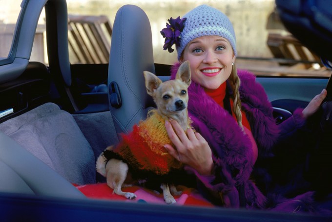 Reese Witherspoon With Bruiser