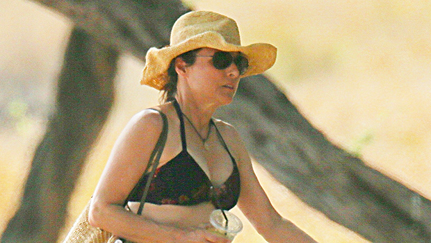 Julia Louis-Dreyfus in Bikini