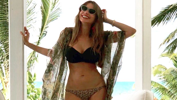 sofia vergara bikini photo