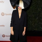 The Creators Party Presented by Spotify, Los Angeles, America - 13 Feb 2016