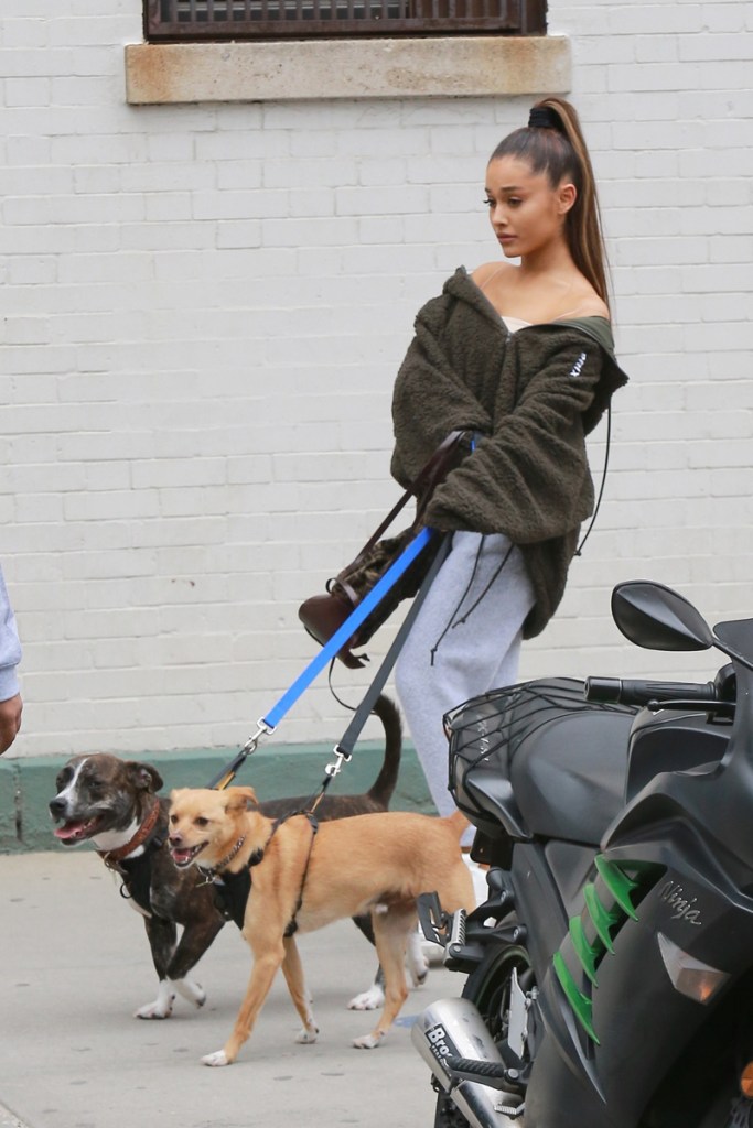 Ariana Grande Walking Myron