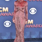 53rd Annual Academy of Country Music Awards, Arrivals, Las Vegas, USA - 15 Apr 2018