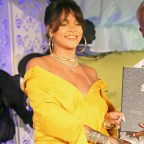 Rihanna attends a ceremony renaming the street where she grew up to Rihanna Drive.