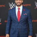 WWE FYC Event, Los Angeles, USA - 06 Jun 2018