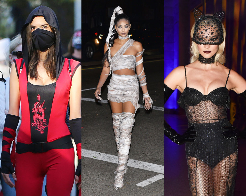 Victoria’s Secret Halloween Costumes — Pics Of Models Hollywood Life