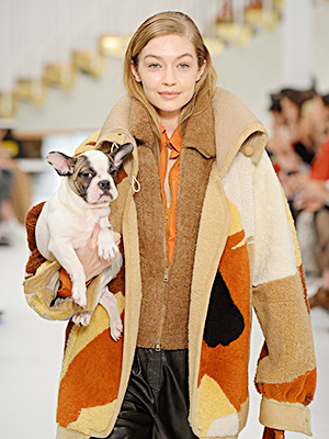 Fall Celebrity Style — Coats & More Pics – Hollywood Life