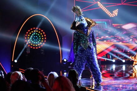 THE MASKED SINGER: Peacock in the ìAll Together Nowî episode of THE MASKED SINGER airing Wednesday, Feb. 13 (9:00-10:00 PM ET/PT) on FOX. Cr: Michael Becker / FOX.