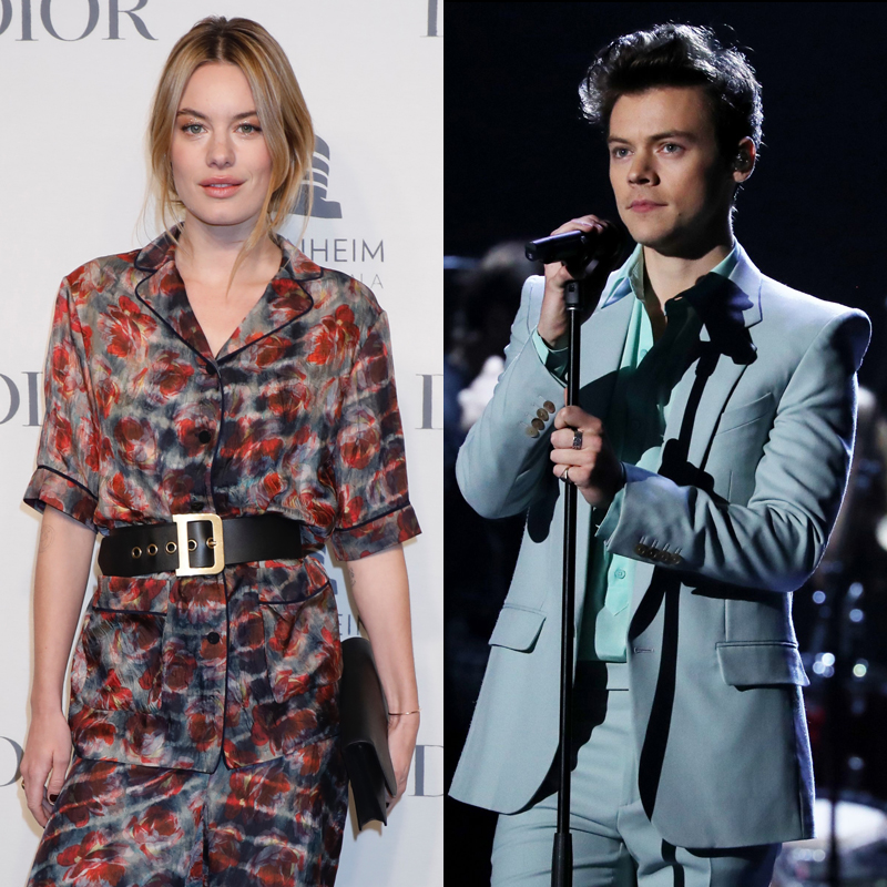 Harry Styles Camille Rowe